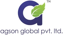Agson Global