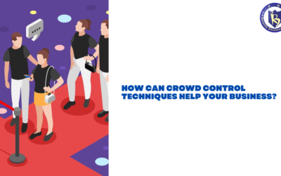 How Can Crowd Control Techniques Help Your Business?